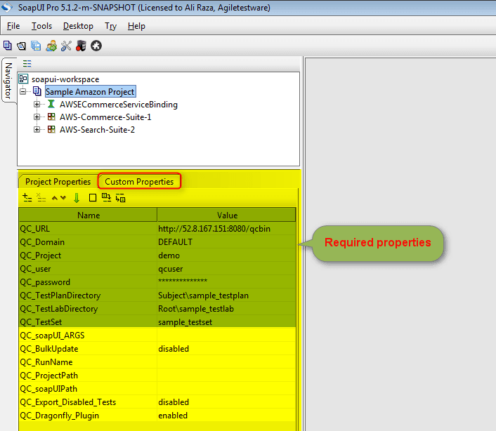 project configuration