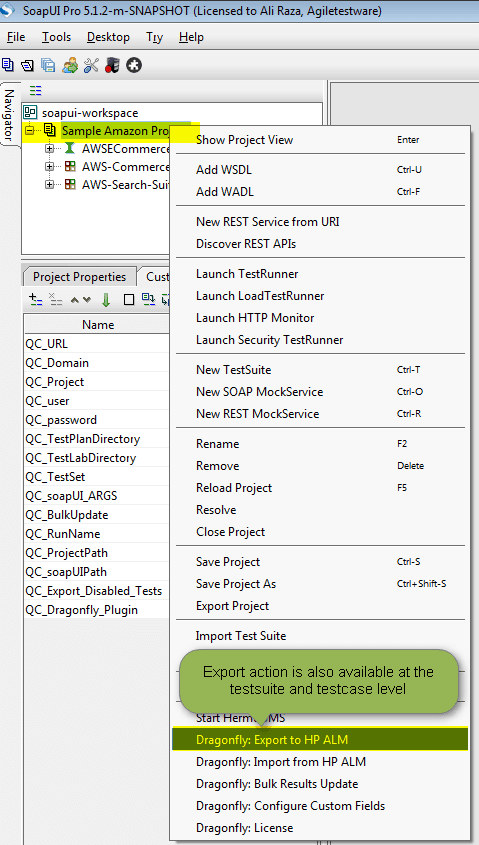 project export